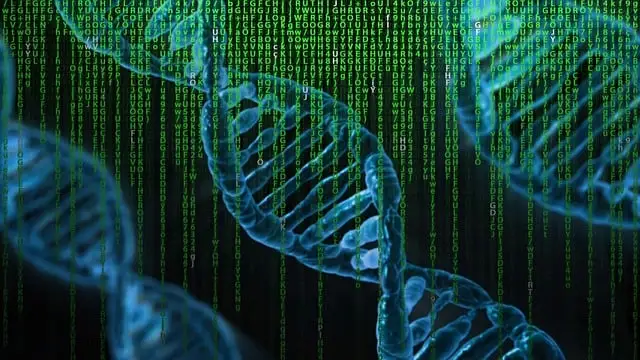 DNA Illustration